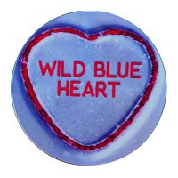 Wild Blue Heart Band(@Wildblueheart1) 's Twitter Profile Photo