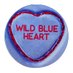 Wild Blue Heart Band (@Wildblueheart1) Twitter profile photo