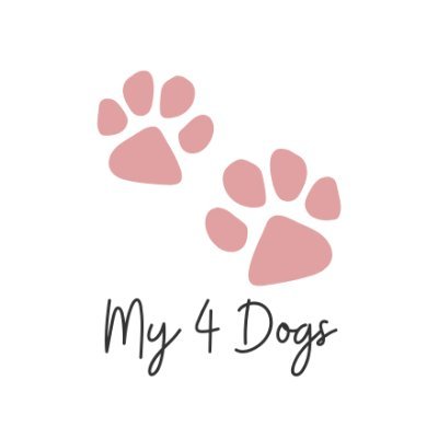 my4dogsshop Profile Picture