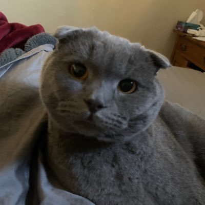 AlbertsonJo's profile picture. 