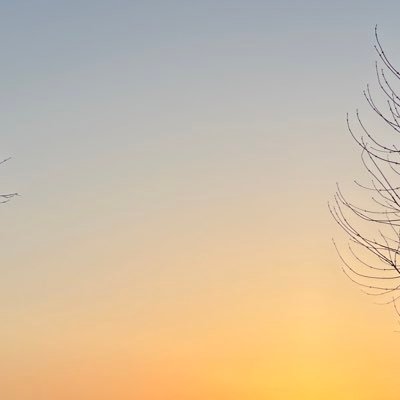 bosott17's profile picture. 