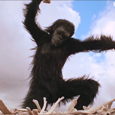 SecessedPleb's profile picture. Secessed sinced 06/03/2020
#GLOBALSTRIKE
#FREEPALESTINE
#FREESUDAN
#FREECONGO
#FREECUBA
#FREEMYANMAR
#FREESYRIA
#FREEIRAQ
#FREECENTRALAFRICANREPUBLIC