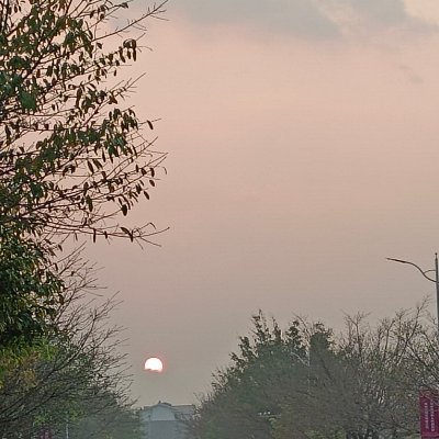 mmm21421729's profile picture. 