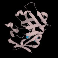 限界免疫学生 (@crisprcas20) 's Twitter Profile Photo