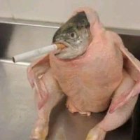 BONKERS (@meowc37154) 's Twitter Profile