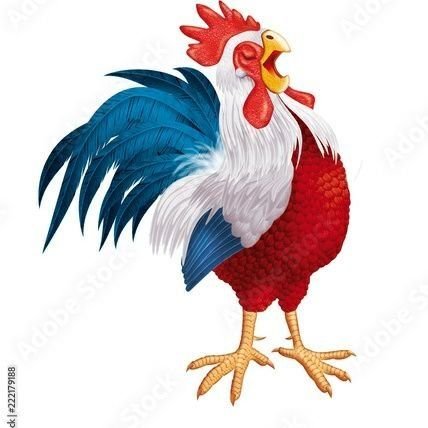 Grissom50's profile picture. Ancien compte supprimé @grissom91 pour avoir relayer une info de France3.
National Patriote résistant