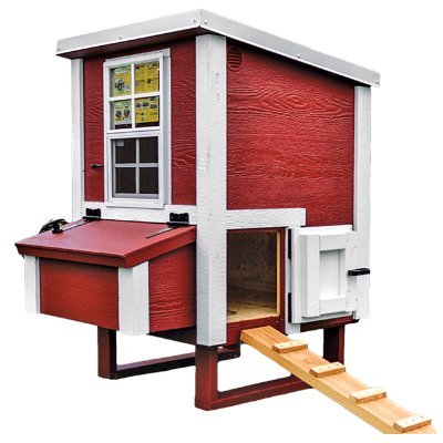 We love chickens and want them to be safe so here is a backyard chicken coop thats well built to last for years to come, so you can have fresh eggs every day.