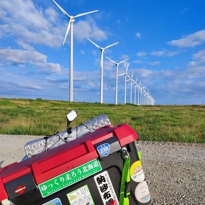 PiccoloSan_suki's profile picture. 