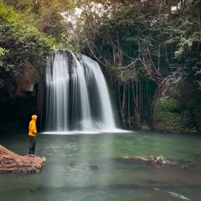 dommysang's profile picture. I never finish anyth....