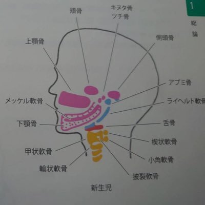 言語聴覚士国試浪人生：24.25×→26回 情報集め ／／／／無言フォロー失礼します。／#打倒26回国試