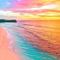 Seekers4261 (@magaseekers4261) 's Twitter Profile