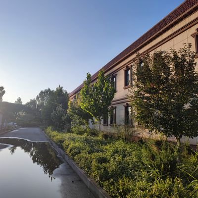 hitntngfng1's profile picture. 