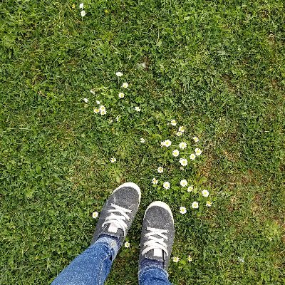 rojo_4_TW's profile picture. :) @thewantedmusic tweeted 1/31/11 & followed 1/9/12. @NathanTheWanted tweeted 1/30/11. #TWNYC concert 10/25/11 ♥♥♥♥