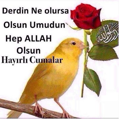 Rifat_Bottrop's profile picture. 