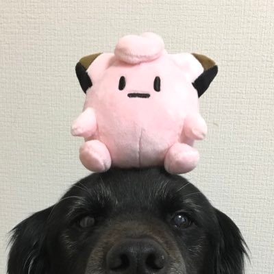 KenTaroさんのプロフィール画像