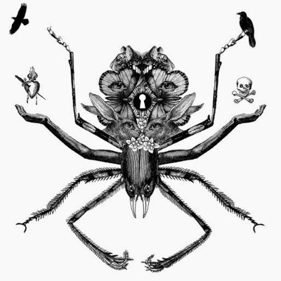 Spiders_STG Profile Picture