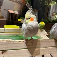 まーちん (@mmm81498026) 's Twitter Profile