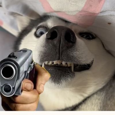 sanbern87399371's profile picture. 