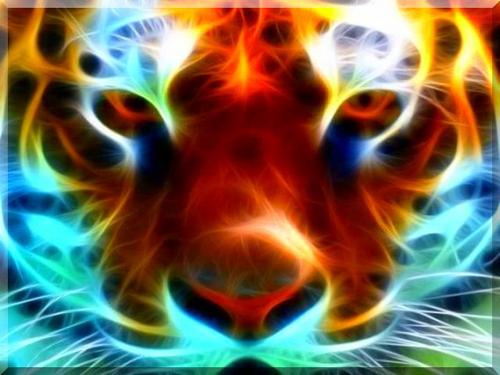 eric0084's profile picture. 