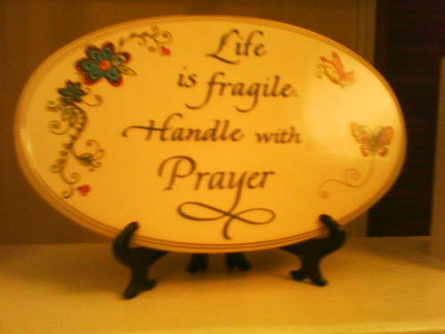 SeekingGodDaily's profile picture. Jesus Christ  is my Lord and Savior.   Proverbs 3:5-7