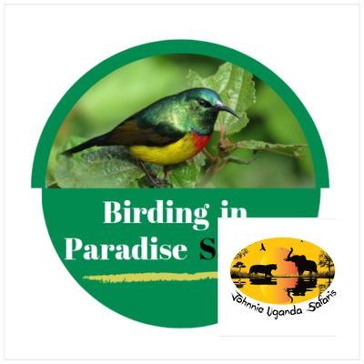 BirdingParadise Profile Picture