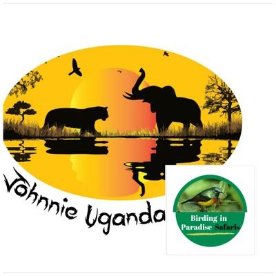 johnnie_uganda Profile Picture