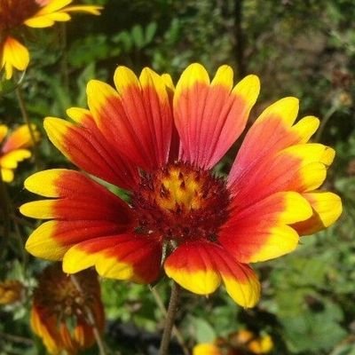 dominika16424's profile picture. Crypto women