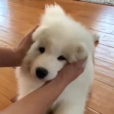 bunny_bunnnn's profile picture. รออีกนิดนะความฝัน กูกำลังจะนอนแล้ว