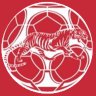 Belton Tiger Soccer Profile