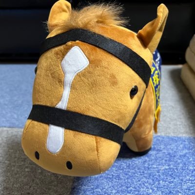 UtoutoWasabi's profile picture. ウマ娘と原神等…趣味垢です。競馬は2021年の桜花賞でサトノレイナスに惚れて始めました。推しはいっぱいいるけど、タイトルホルダーが特に好き。いいねしまくりますがお許しください_(:3 」∠)_ よかったら絡んであげてください！よろしくお願いします🥺