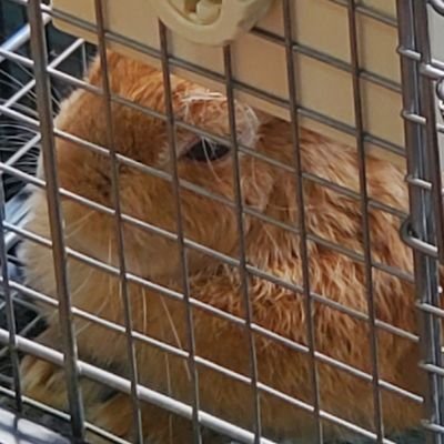 咲良さんのプロフィール画像