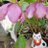 warabi_kinako's profile image