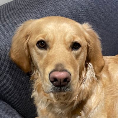 DAmourFran37352's profile picture. 