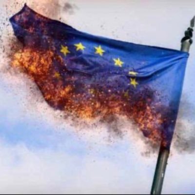 laurent_lcr's profile picture. souverainiste, patriote. Frexiteur⚜️ ✝️ 🇫🇷