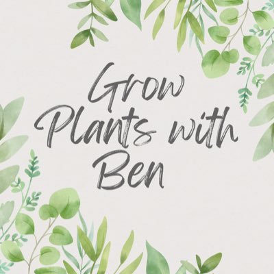 #Plant enthusiast, will share my passion for plants 🪴 , show tips and tricks to have thriving plants and how to #propagate your favorite ones.
