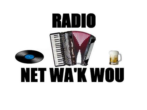 Radio Net Wa'k Wou_Eesveen. Het zolderpiraatje uit Eesveen.