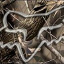 Blakeny Adam Clegg - @Redneck_Stoner - Twitter