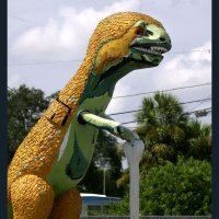 Andres Elgorriaga (@paleobotandres) 's Twitter Profile Photo Andres Elgorriaga (@paleobotandres) 's Twitter Profile Photo