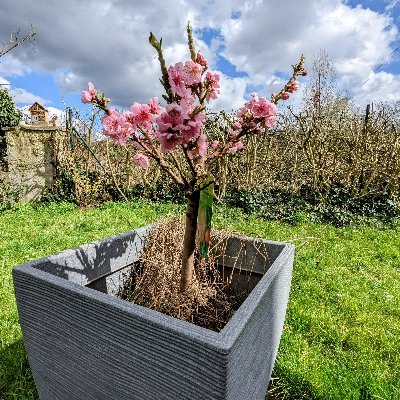 Carolein82's profile picture. 