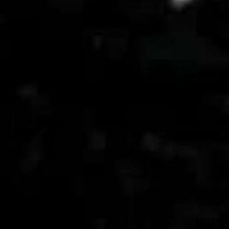 DeverellLucas's profile picture. 