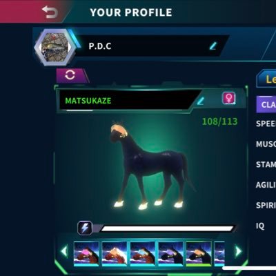 PDCMATSUKAZE's profile picture. METAHORSE 馬主になりました🐎113匹🐎