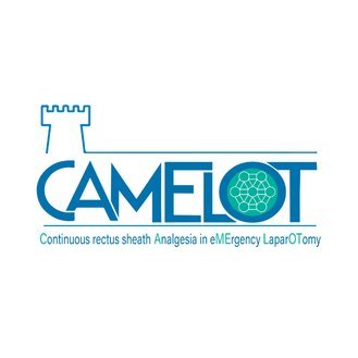 CamelotStudy Profile Picture