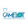 CamelotStudy's profile picture. UK-wide RCT comparing pain relief from rectus sheath catheter-delivered local anaesthetic infusion to usual care in patients undergoing emergency bowel surgery