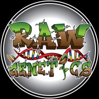 Raw Genetics (@raw_genetics_) 's Twitter Profile Photo Raw Genetics (@raw_genetics_) 's Twitter Profile Photo