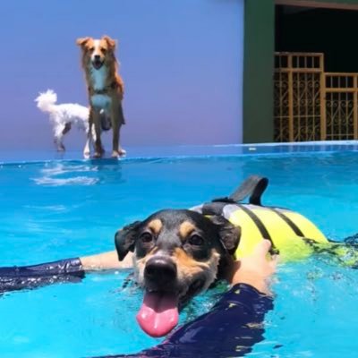 eduardoclopes's profile picture. 