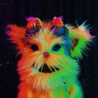 Moxie Buttercup (@itsmemoxieb) 's Twitter Profile