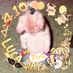Alex (@alex_180888) Twitter profile photo Alex (@alex_180888) Twitter profile photo