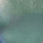 xdm310's profile picture. 