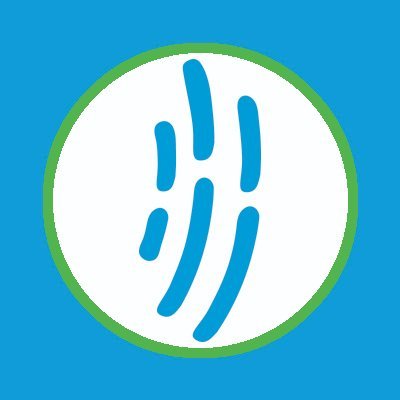 ConsorcioLifeHN's profile picture. Apoyo humanitario para personas en tránsito migratorio por Honduras.