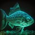 רק דגיגון בשוק ההון 🐠 (@dgigonhon) Twitter profile photo